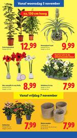 Lidl folder week 45 Pagina 21