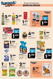 Catálogo Supermercados Lupa Página 10