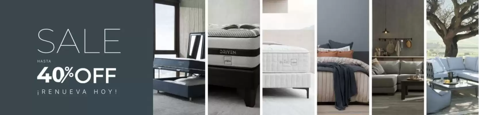 Catálogo Rosen (válido hasta 12-11)