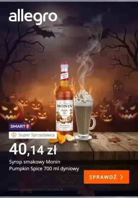 Allegro gazetka (ważność do 6-11)