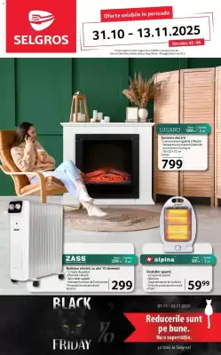 Catalog Selgros (valid până la 13-11)