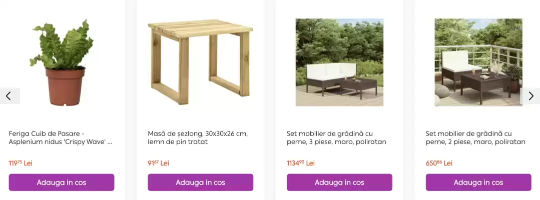 Catalog Vivre (valid până la 10-11)