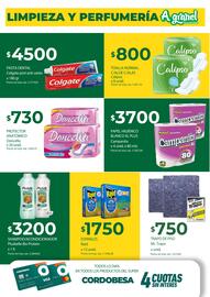 Catálogo Supermercados A Granel semana 44 Página 9