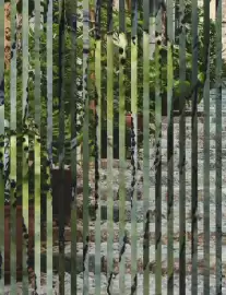 Aida Cruises Prospekt Seite 8