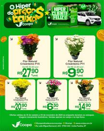 Catálogo Cocipa Página 1