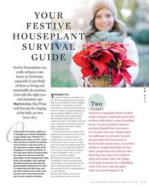 Sainsbury's leaflet Page 123