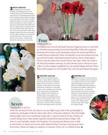 Sainsbury's leaflet Page 124