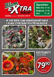 Extra Mjällby Stormarknad reklamblad vecka 44 Sida 21