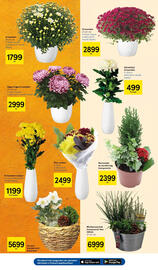 Tesco akciós újság hét 44 Oldal 11