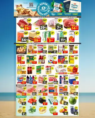 Catálogo Palomax (válido até 2-11)