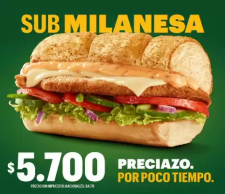 Catálogo Subway (válido hasta 12-11)
