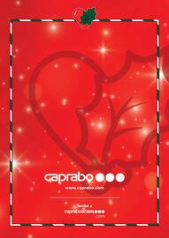 Catálogo Caprabo Página 20