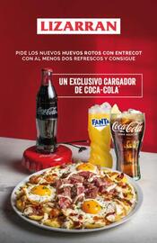 Folleto Lizarran Página 1