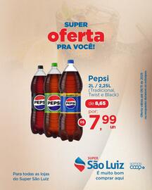 Catálogo Super São Luiz Página 3
