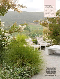 Bunnings catalogue Page 31