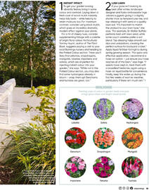 Bunnings catalogue Page 35