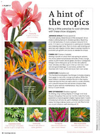 Bunnings catalogue Page 68