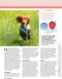 Bunnings catalogue Page 82