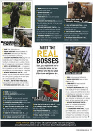 Bunnings catalogue Page 97