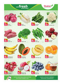 Shaklan leaflet Page 2