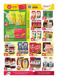 Shaklan leaflet Page 6