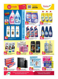 Shaklan leaflet Page 10