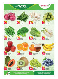 Shaklan leaflet Page 2