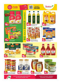 Shaklan leaflet Page 8