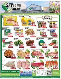 Skyland Foodmart flyer week 44 Page 1