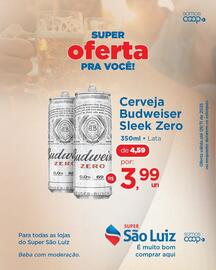 Catálogo Super São Luiz Página 2