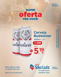 Catálogo Super São Luiz Página 3