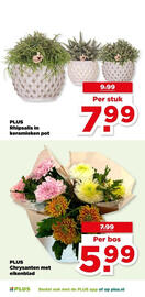 PLUS folder week 45 Pagina 47