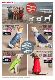 Woolworth leták Strana 15