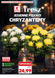 Kaufland gazetka Strona 14