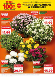 Kaufland gazetka Strona 15