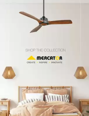 Mercator catalogue (valid until 6-11)