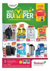 Shaklan leaflet Page 1