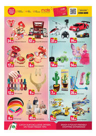 Shaklan leaflet Page 13