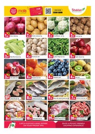 Shaklan leaflet Page 6