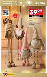 Biedronka gazetka Strona 20