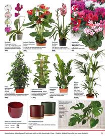 Bauhaus leták Strana 5