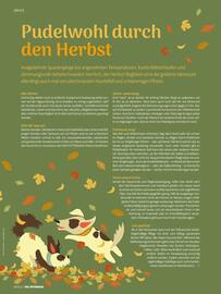 Das Futterhaus Prospekt Seite 12