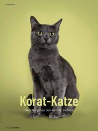 Das Futterhaus Prospekt Seite 22