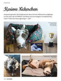 Das Futterhaus Prospekt Seite 30