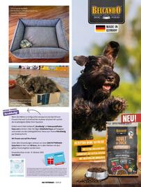 Das Futterhaus Prospekt Seite 31