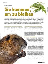 Das Futterhaus Prospekt Seite 35