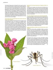 Das Futterhaus Prospekt Seite 36