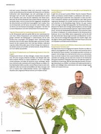 Das Futterhaus Prospekt Seite 38