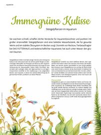 Das Futterhaus Prospekt Seite 40