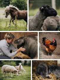 Das Futterhaus Prospekt Seite 8